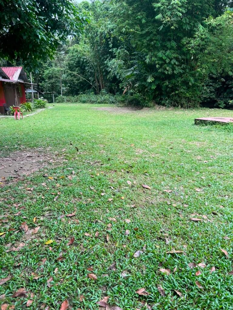 depan c4