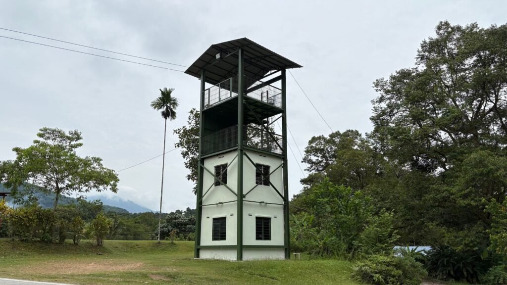 menara flying fox