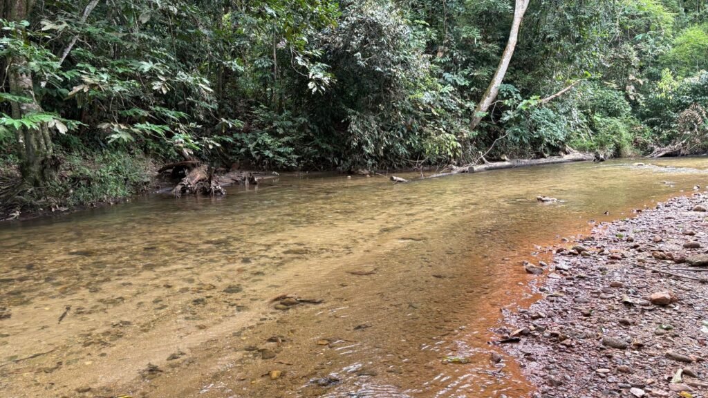 sungai